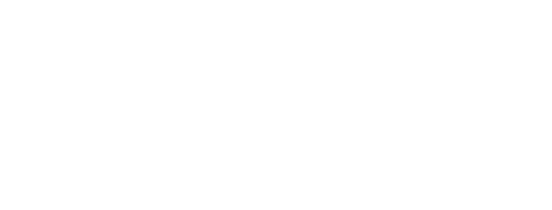 Logo White